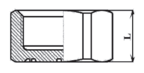 Заглушка Цветлит ZW ВР 1″ Ду25 Ру10, с прокладкой, внутренняя резьба, латунная