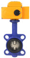 Затвор дисковый поворотный Genebre 2103 Ду65 Ру16 с электроприводом DN.RU-003 220В (4-20 мА)